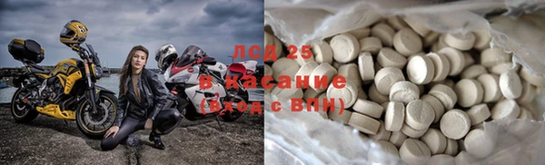 дмт Богданович