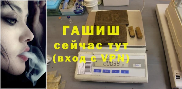 дмт Богданович