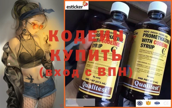 дмт Богданович