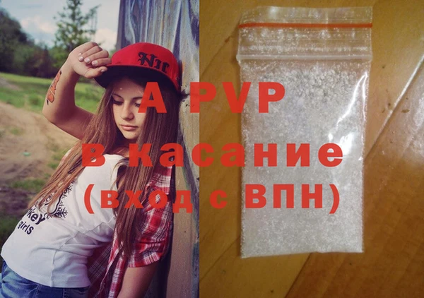 дмт Богданович
