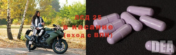 дмт Богданович