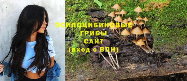 бутират Богородицк