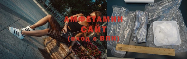 дмт Богданович