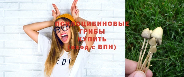 бутират Богородицк