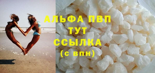 дмт Богданович