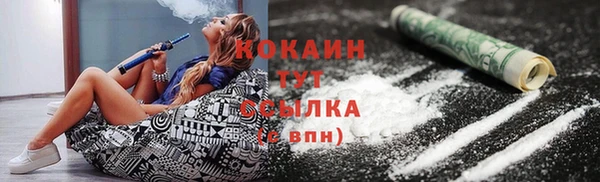 дмт Богданович