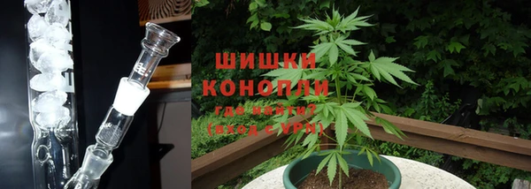 дмт Богданович